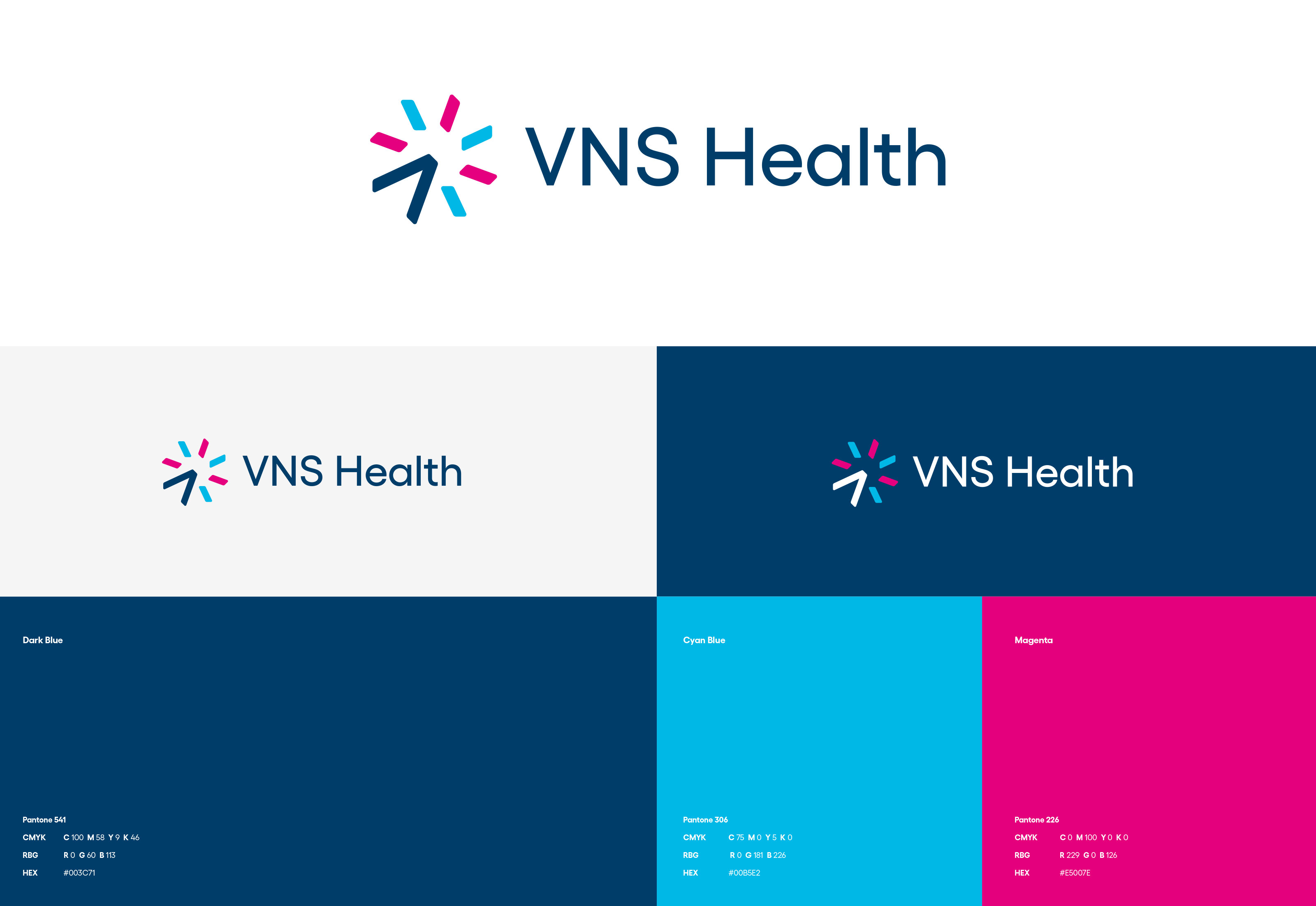 brand-design-agency-corporate-rebranding-VNS-Health-new-york-city-3